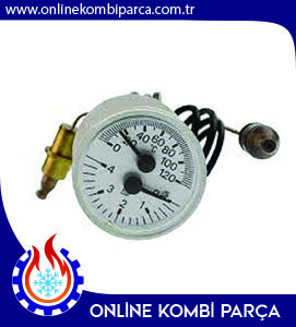 Viessmann Eski Tip Termomanometre Çorlu
